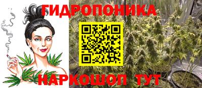 ешки Донецк
